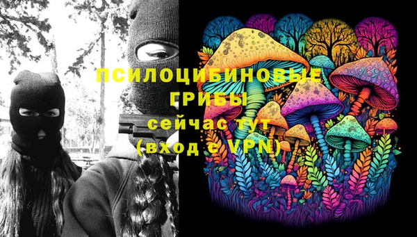 соль ск Балахна