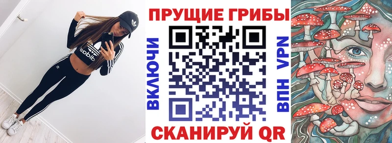 МЕГА Кущёвская Галлюциногенные грибы GOLDEN TEACHER